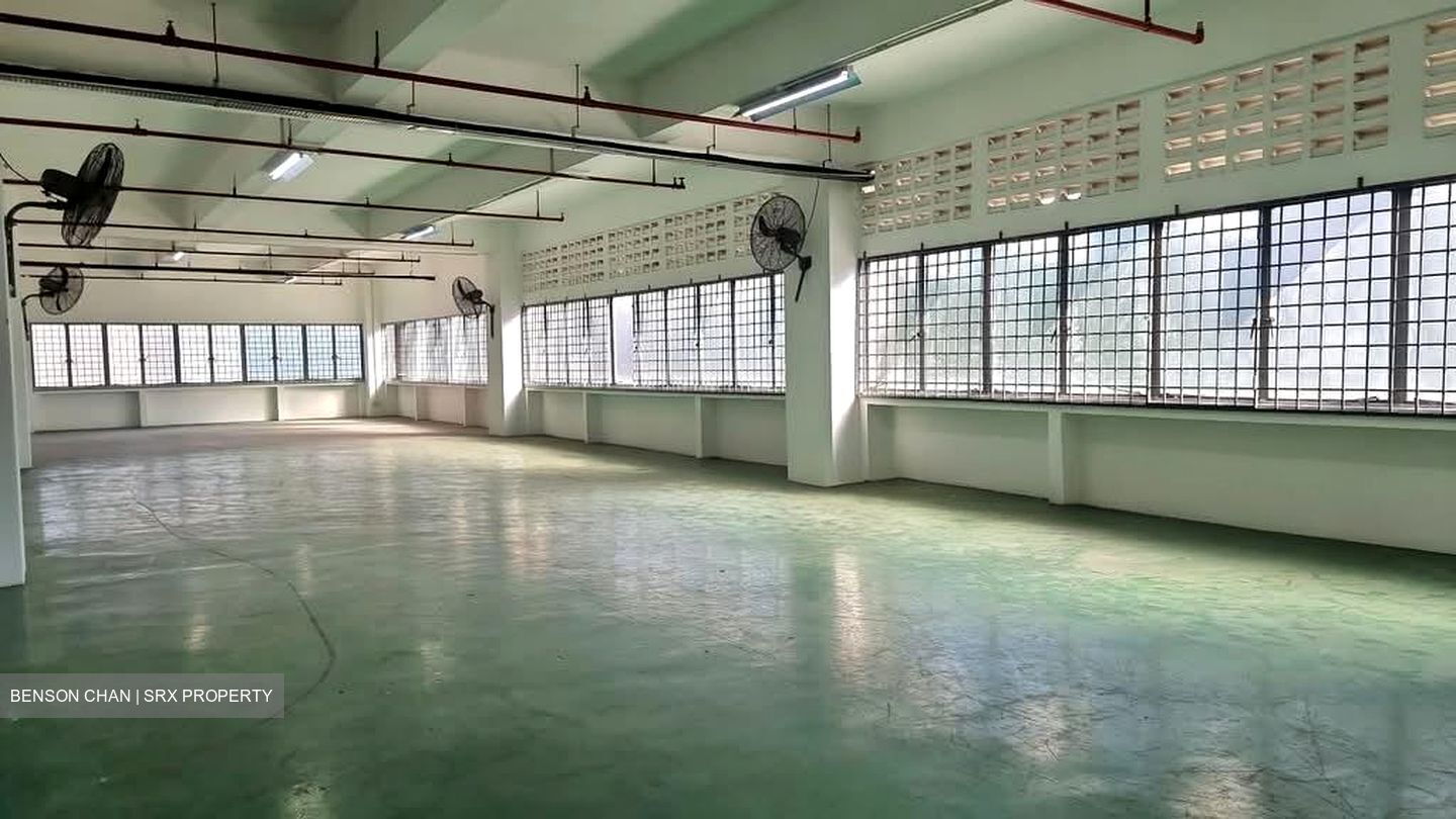 Perfect One (D13), Warehouse #555022421